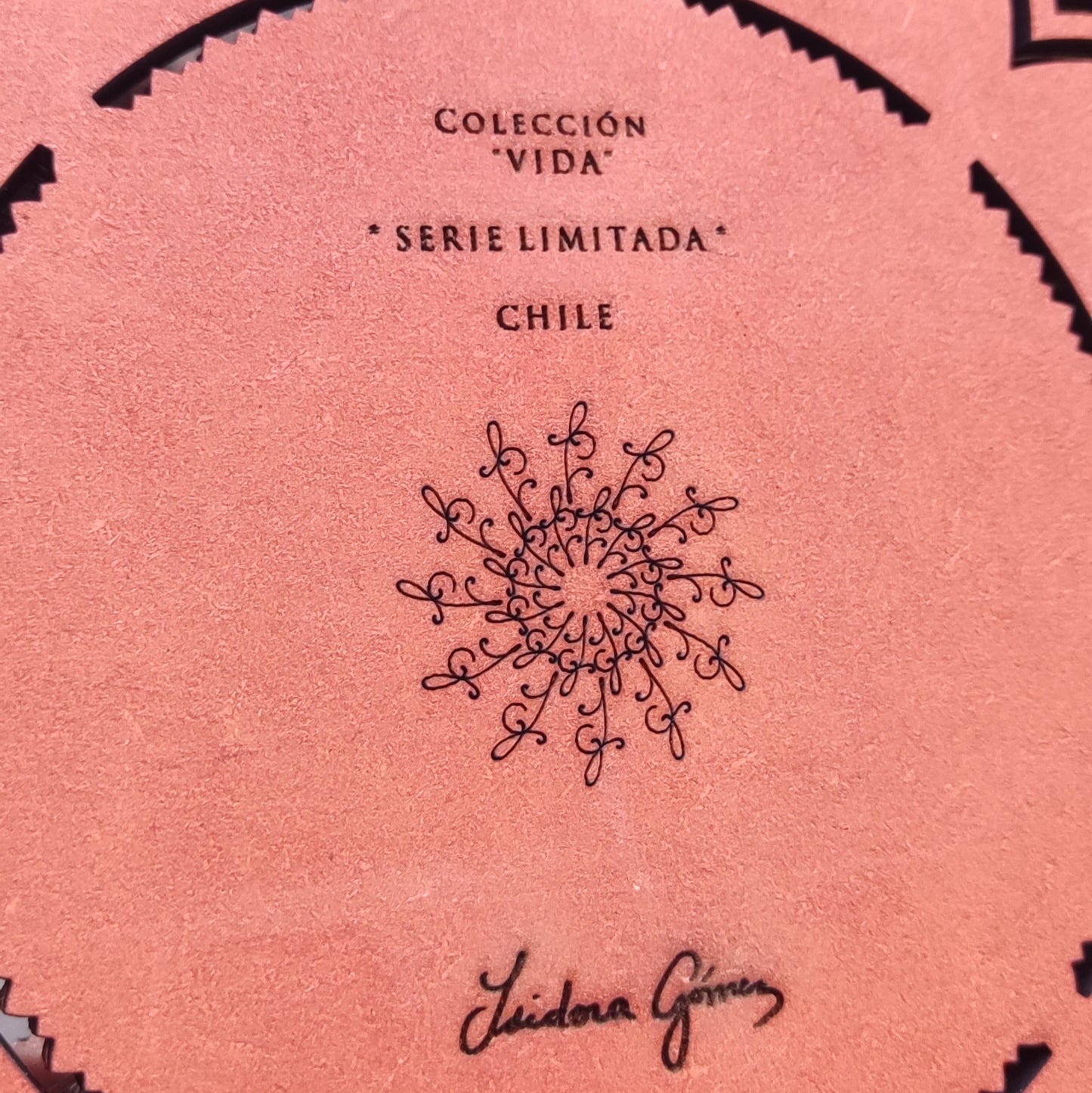 Antarctic Life Mural