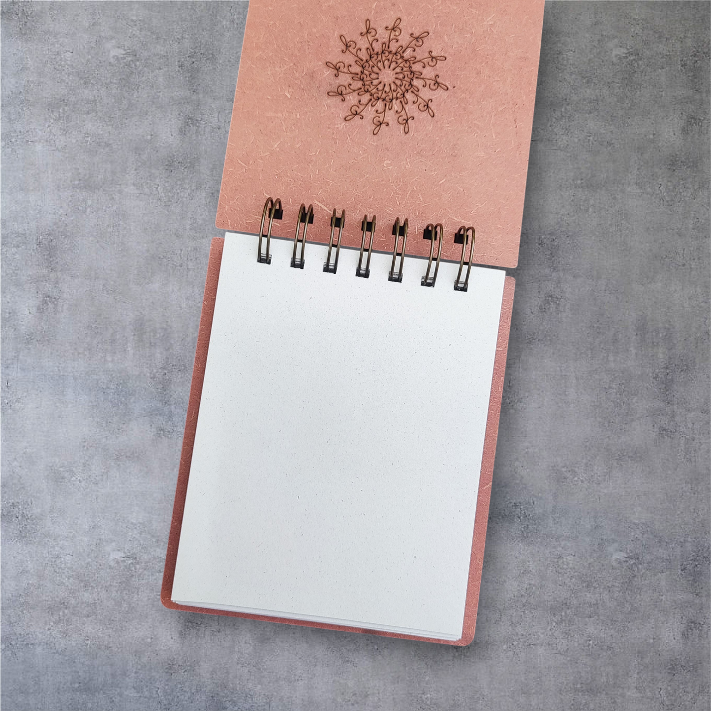 Capricorn Creative Log