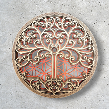 Cargar imagen en el visor de la galería, Mural El Código de la Vida Naranjo