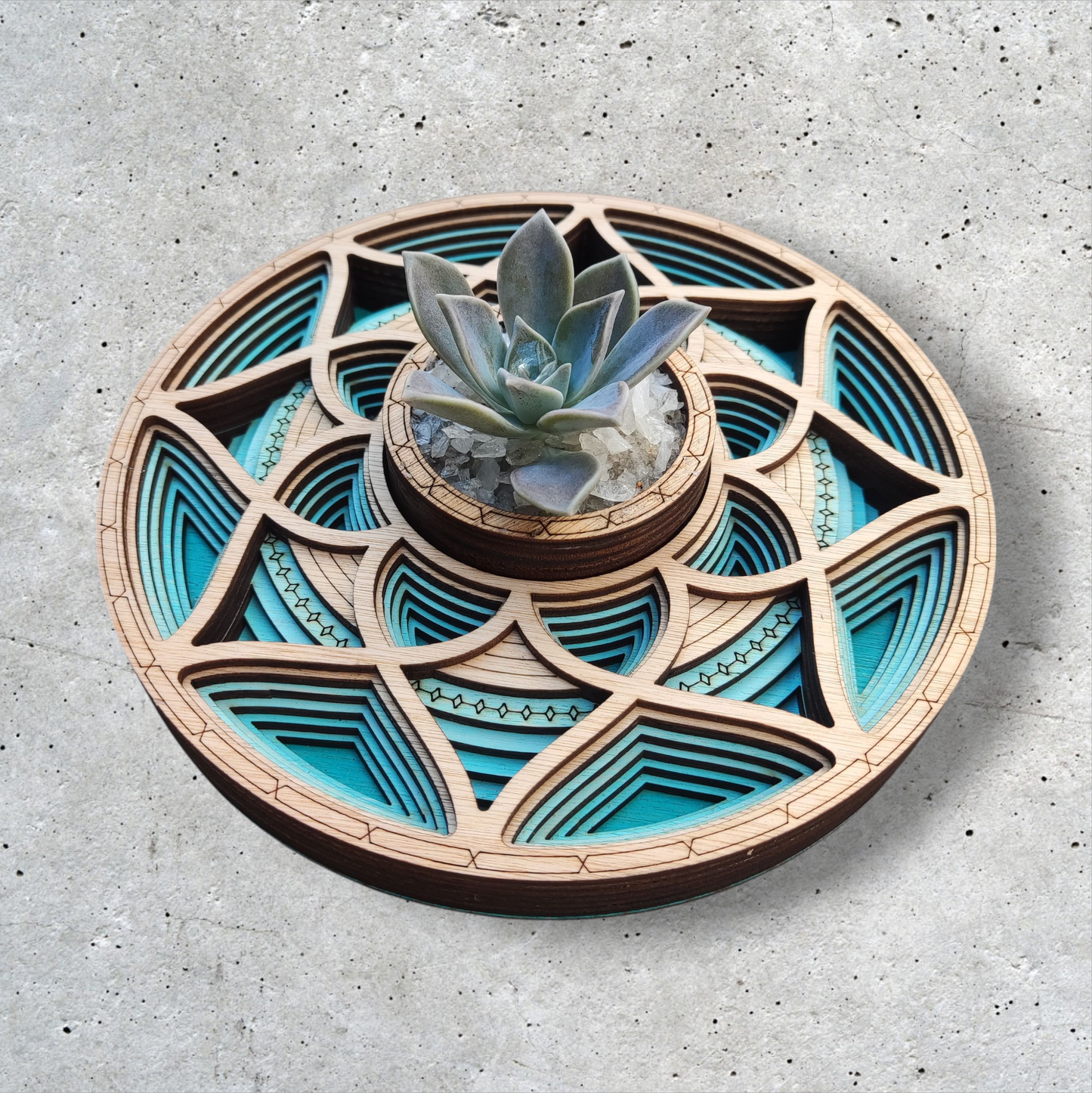 Centro de Vida Turquesa