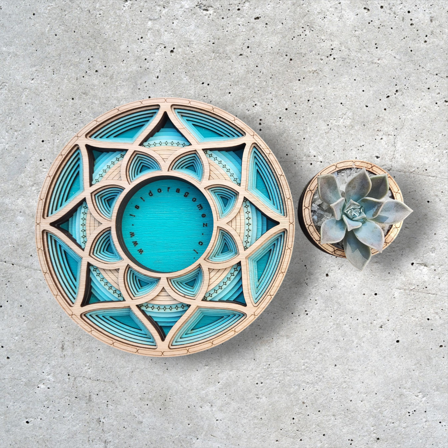 Centro de Vida Turquesa