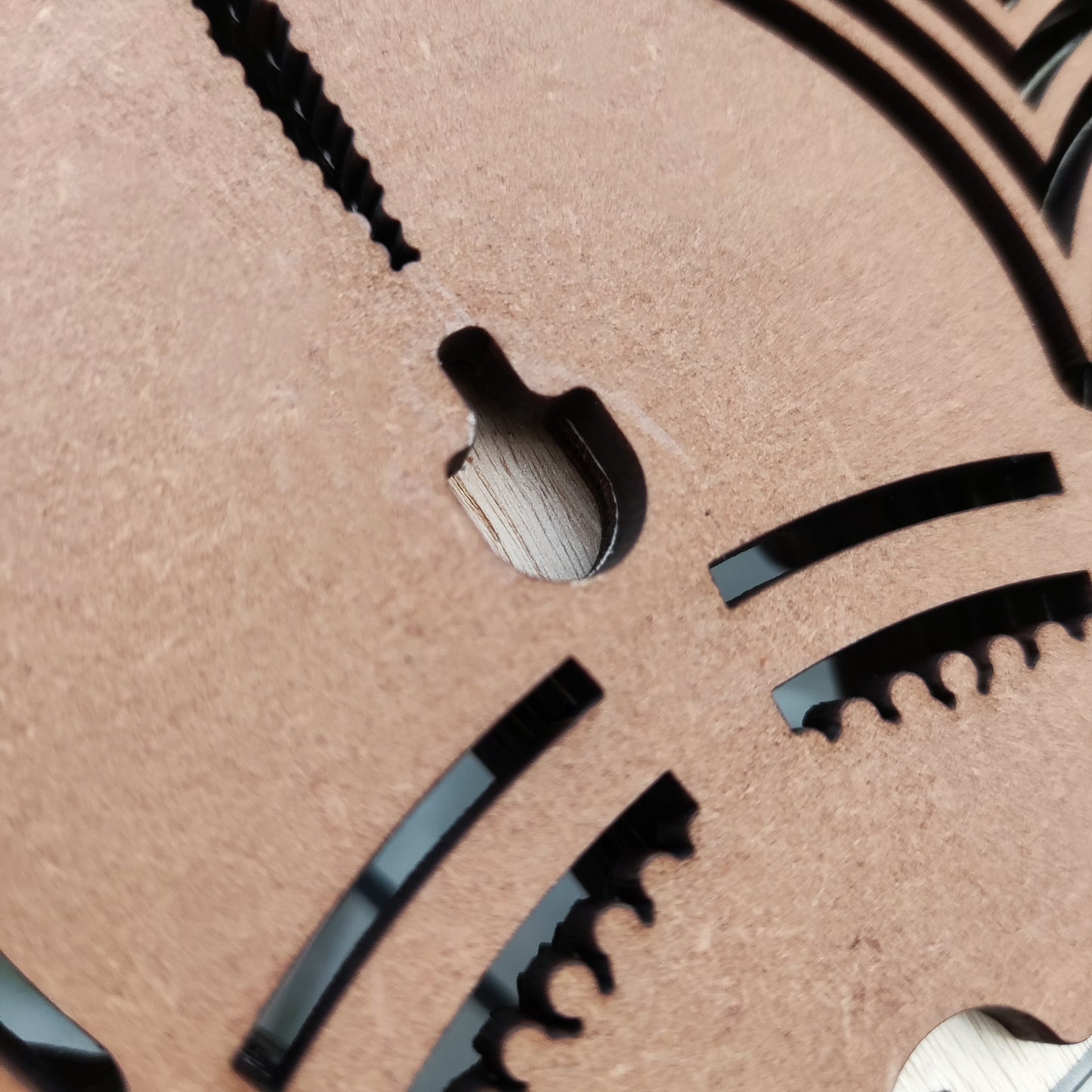 Reloj Vida Desierto Florido